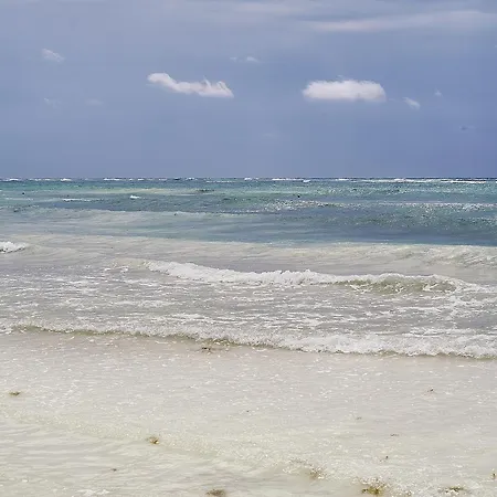 Golden Pearl ポゴジェリツァ